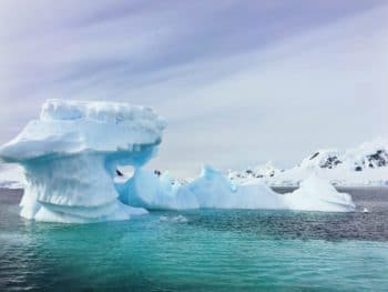 Experience Amazing Antarctica with the Explorer's Academy