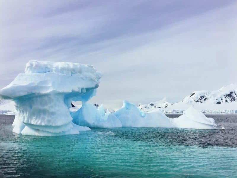Experience Amazing Antarctica with the Explorer's Academy